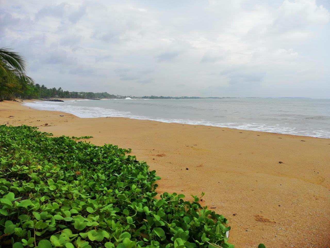 Mars Hotel Tangalle Luaran gambar