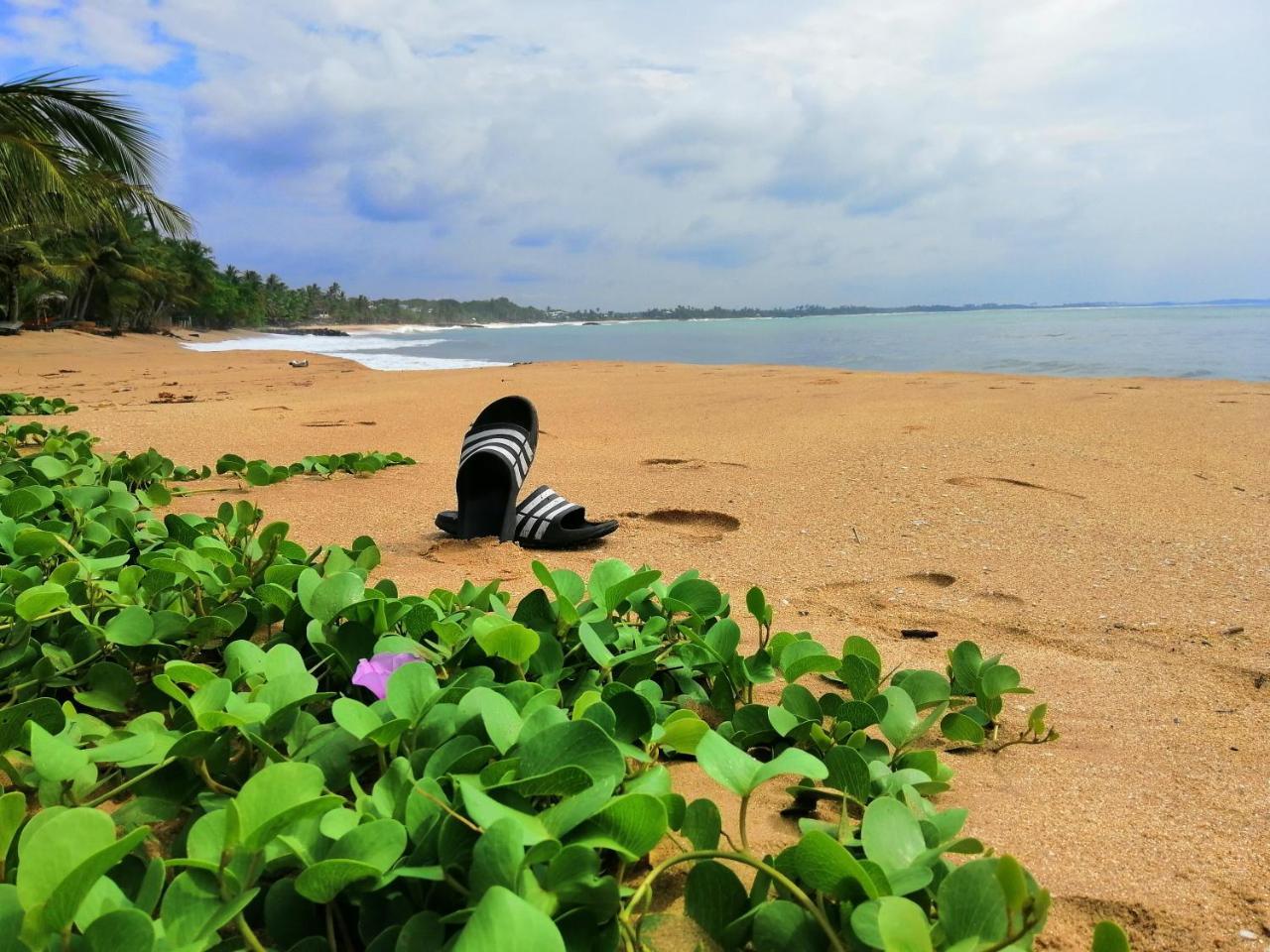 Mars Hotel Tangalle Luaran gambar